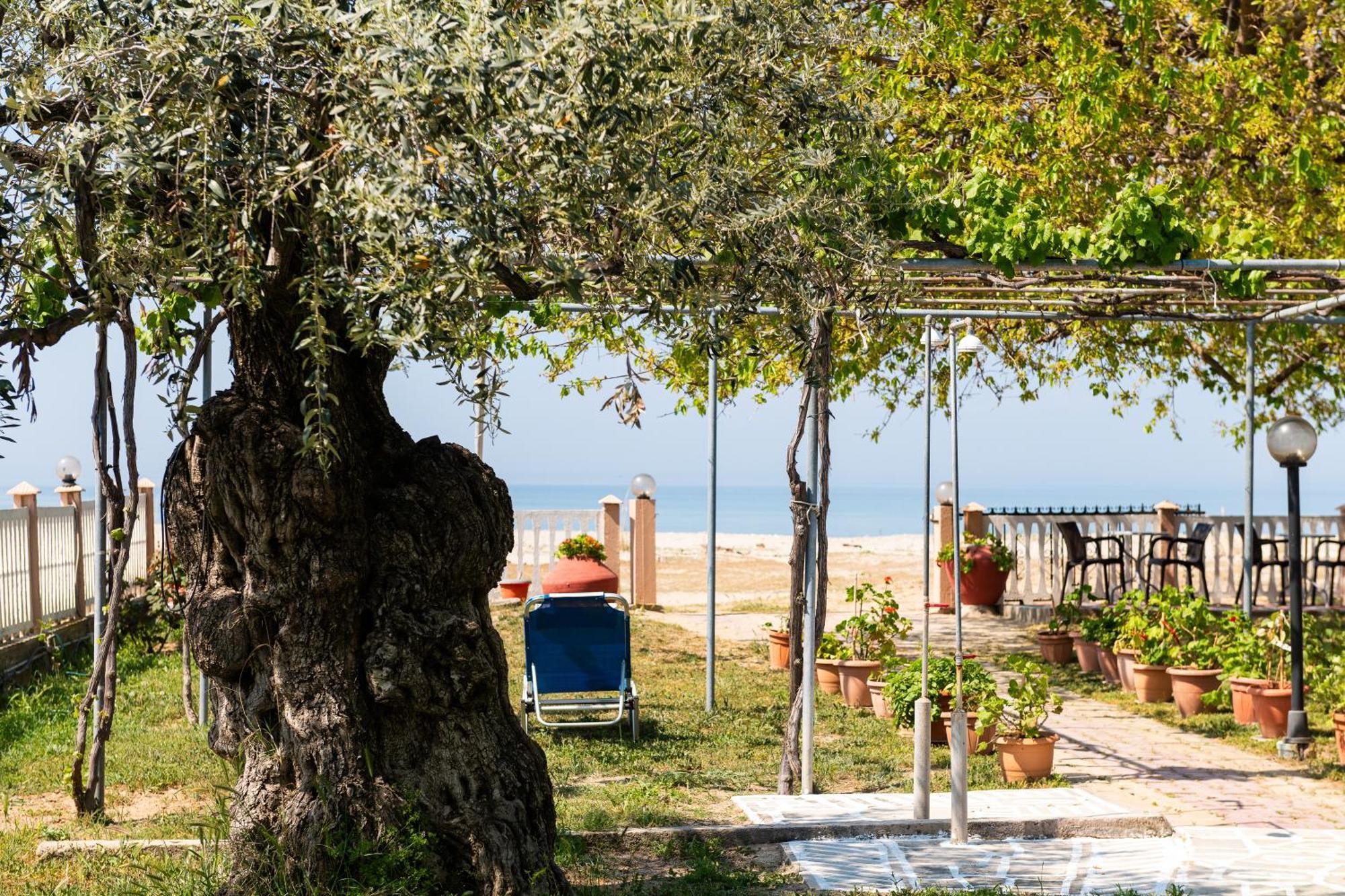 Opalium Beach Front Suites Potos Dış mekan fotoğraf